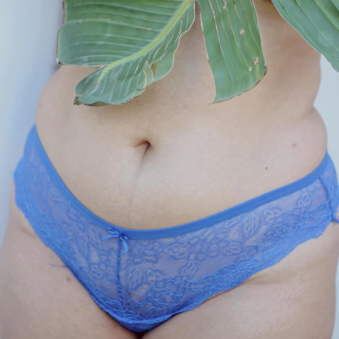 femina women's plus size underpants lace